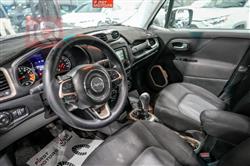 جيب رينيجيد